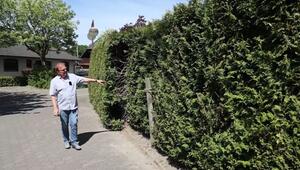 Hecken-Zoff: Stadt droht Rentner wegen "gefährlicher" Thuja mit Konsequenzen