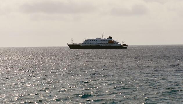 Drei Tote nach Hantavirus-Ausbruch auf Kreuzfahrtschiff