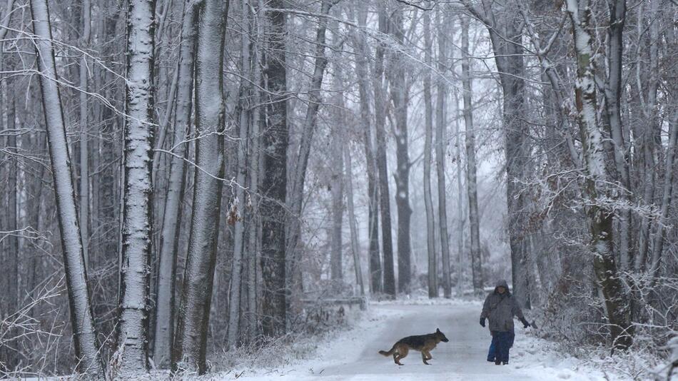 Schnee in NRW - Warnung vor Spaziergang im Wald