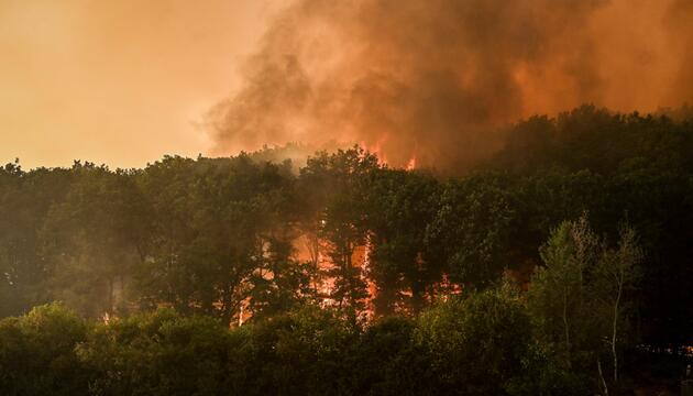 Waldbrände, Hitze, Trockenheit, Waldbrandgefahr, Klima, Klimawandel