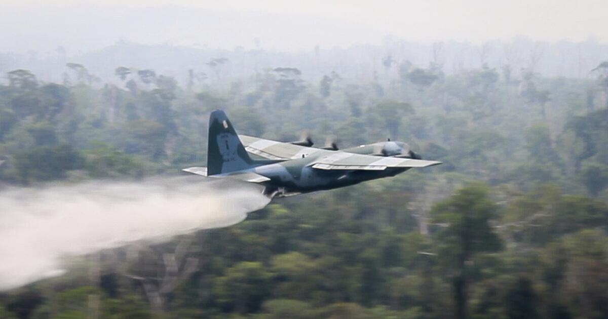 Soldaten bekämpfen Flammen im brasilianischen Regenwald ...