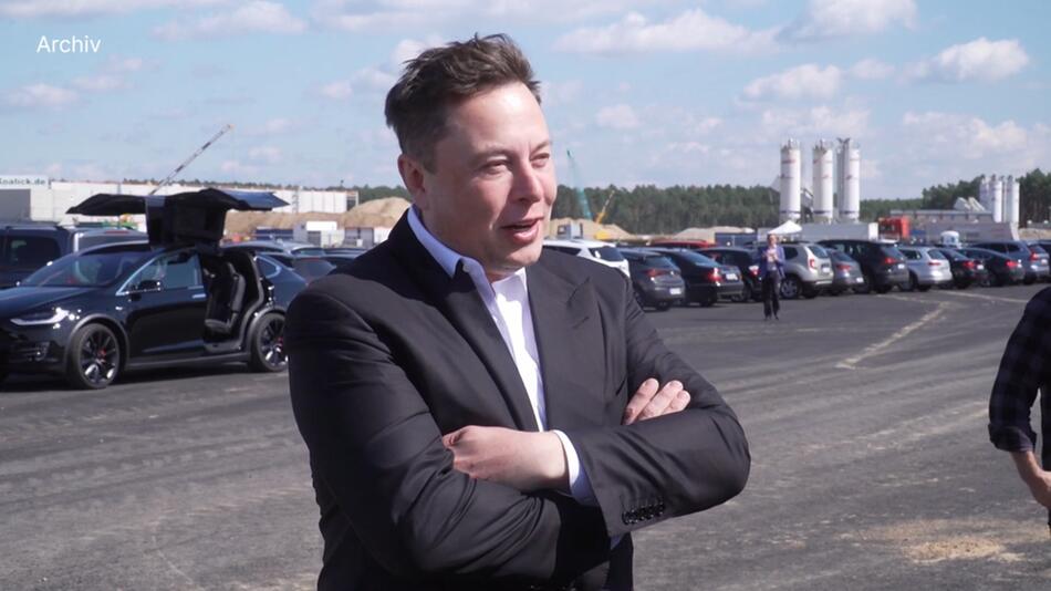 Tesla-Mitgründer Elon Mask hat sich den Kurznachrichtendienst Twitter zugelegt