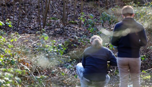 Polizeieinsatz in Waldstück - Fund einer Frauenleiche