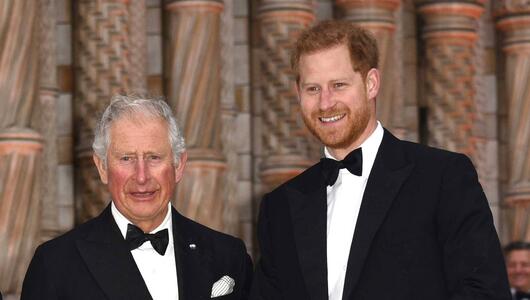 Ein Bild aus besseren Tagen: König Charles III. mit Prinz Harry im Jahr 2019.