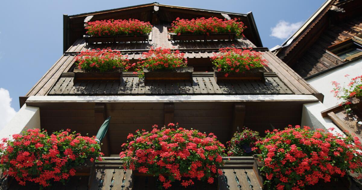 wieviel blumenerde in 80 cm blumenkasten Berechnen Sie, wie viel Erde Sie fr Ihren Pflanzkasten bentigen  Der  Stahlgarten