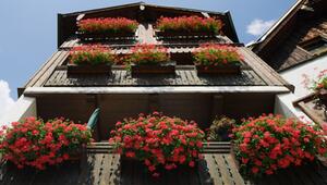 Blumenkästen künftig nur noch innen am Balkon erlaubt – was Eigentümer wissen müssen