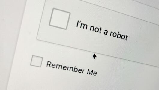 Captcha-Feld auf einer Website