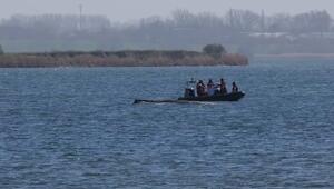 Wenig Wasser, kaum Kraft: Wal vor Wismar wird sterben