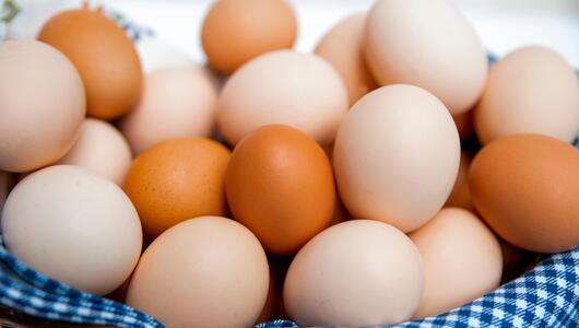 Eier