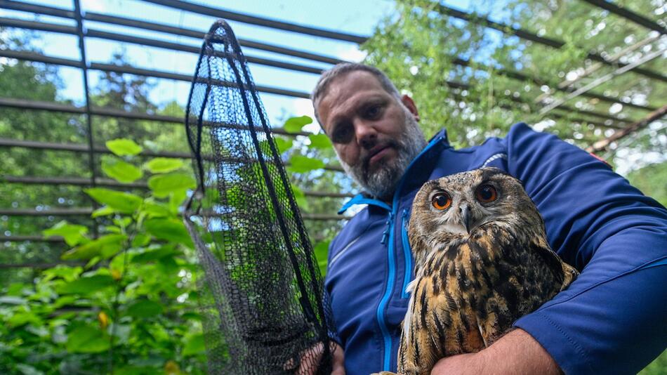 Letztes Tier hat Wildpark Weißewarte verlassen