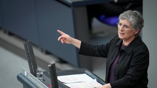 Britta Haßelmann Interview