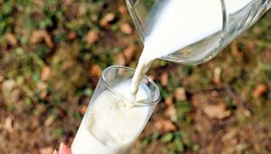 milch als dünger