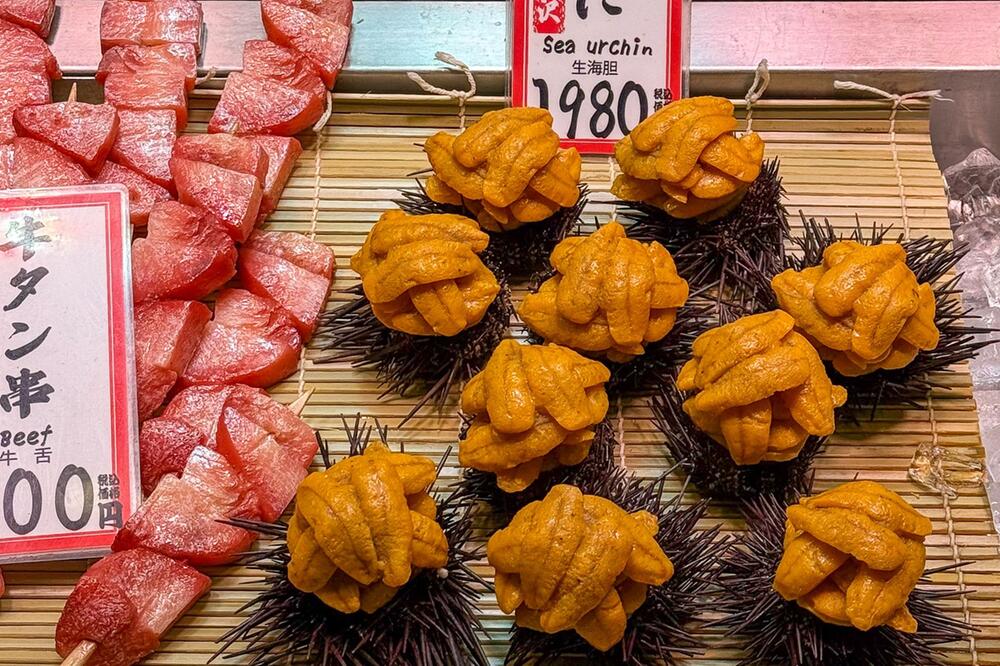 Seeigel auf einem Markt in Osaka