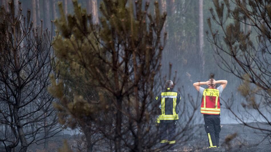 Weiterer Waldbrand in Brandenburg