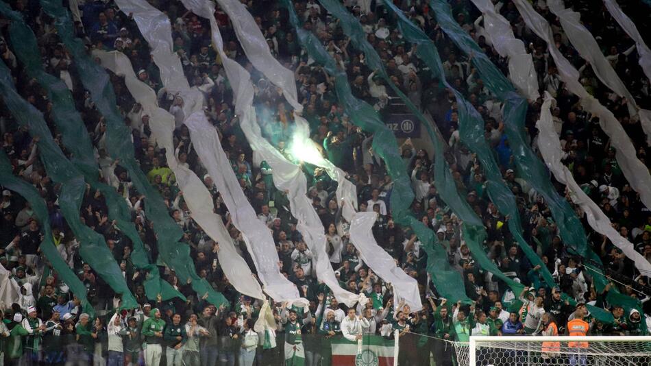 Fans von Palmeiras in Brasilien