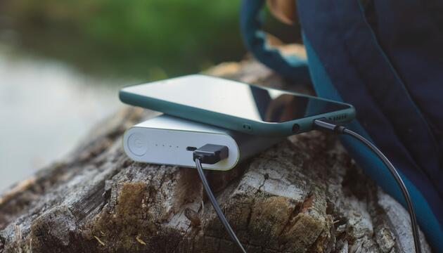 Powerbank auf Baumstamm