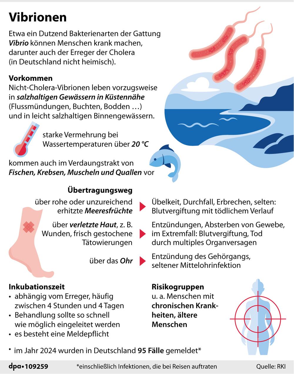 Grafik-Erklärgrafik: "Vibrionen: Vorkommen, Infektionswege und Krankheitssymptome"