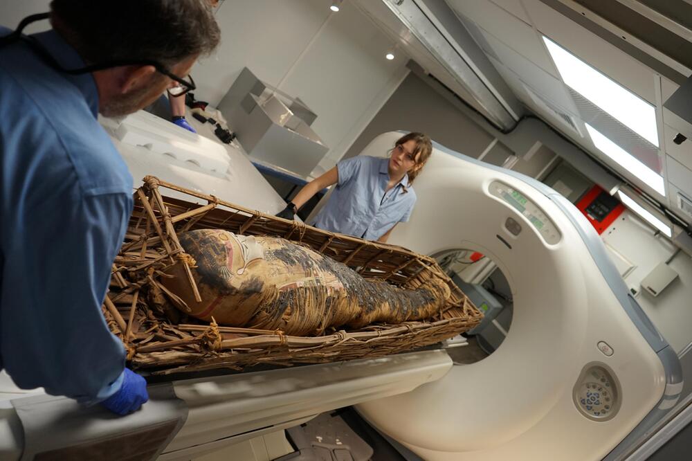 CT-Scan im Field Museum