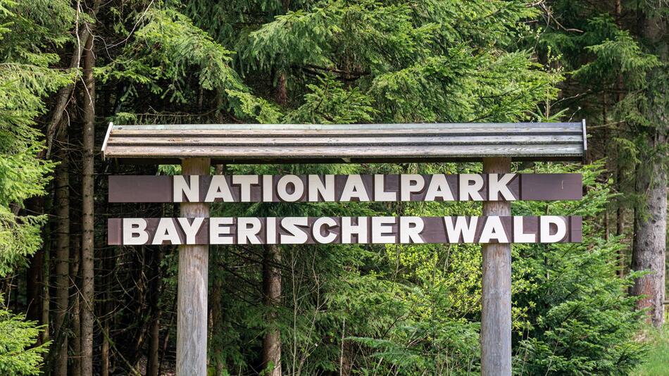 Nationalpark Bayerischer Wald