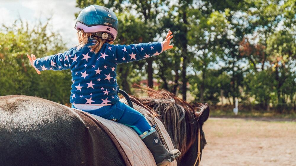 Bedingungen für Reitschulen werden schwieriger