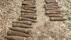 Weltkriegsgranaten in Berliner Wald gefunden