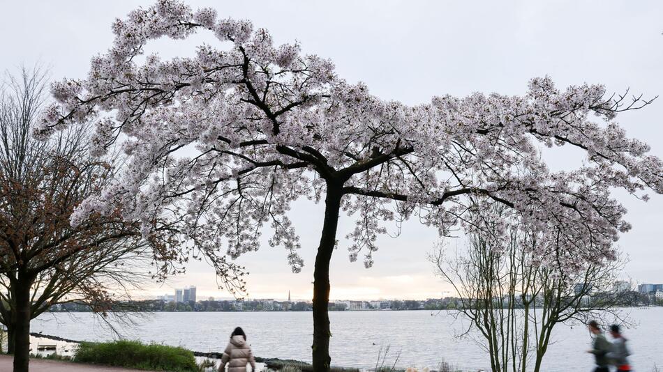 Frühsport an der Alster