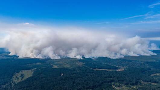 Waldbrand in Belgien