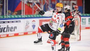 Nürnberg Ice Tigers - Pinguins Bremerhaven