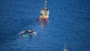 Weitere Entwicklung zum Buckelwal in der Ostsee
