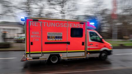 Zwei Hundebisse in 24 Stunden – Kinder in Baden-Württemberg verletzt