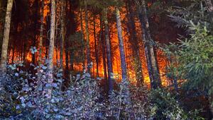 Waldbrand bei Schramberg