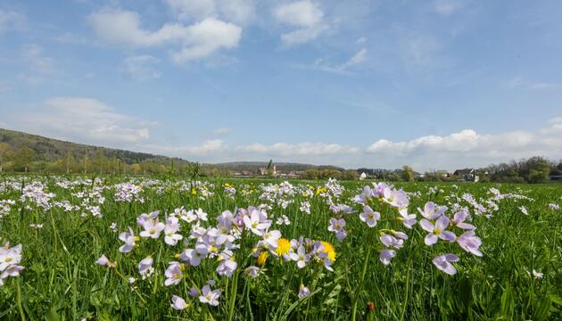Wetter in Baden-Württemberg