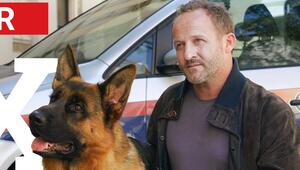 Maximilian Brückner als Kommissar Max Steiner in "Kommissar Rex".