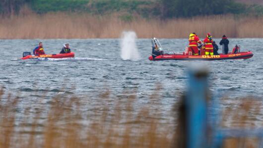 Mitglieder der DLRG auf Booten sind in der Nähe des Wals