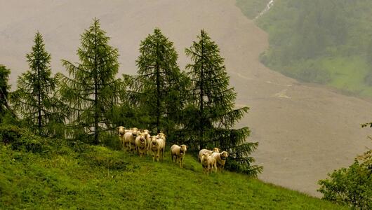 Gletscherabbruch im Wallis