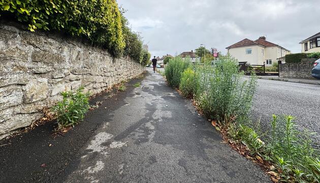 Überwucherter Gehweg