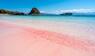 Pink beach Komodo islands in Indonesia