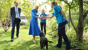 Königin Camilla gilt als große Hundefreundin.