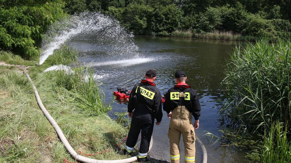 Fischsterben im Gleiwitzer Kanal in Polen