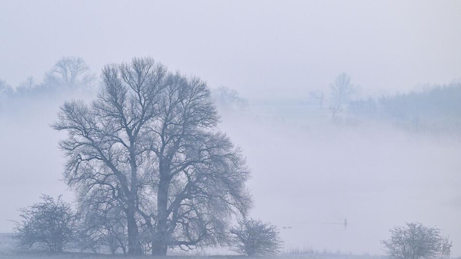 Kalter Wintermorgen