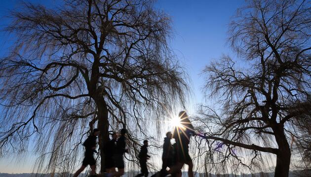 Wetter in Hamburg