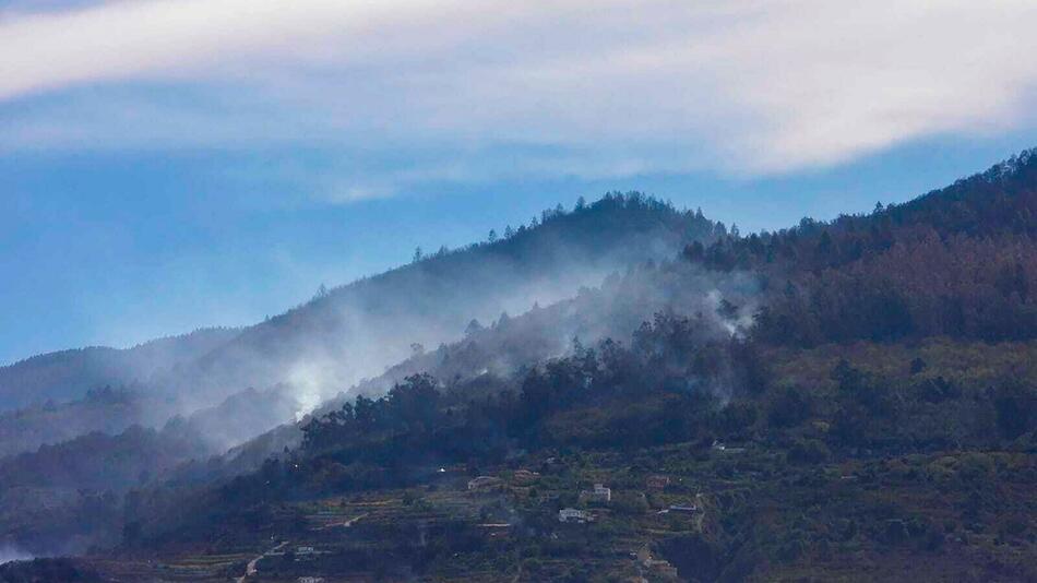 Waldbrand auf Teneriffa