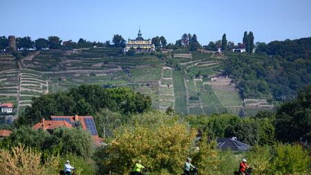 Elberadweg ist Deutschlands meistbefahrener Radfernweg