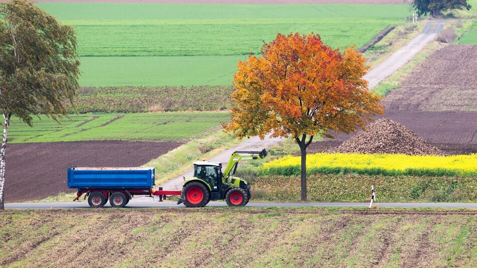 Traktor auf der Landstraße