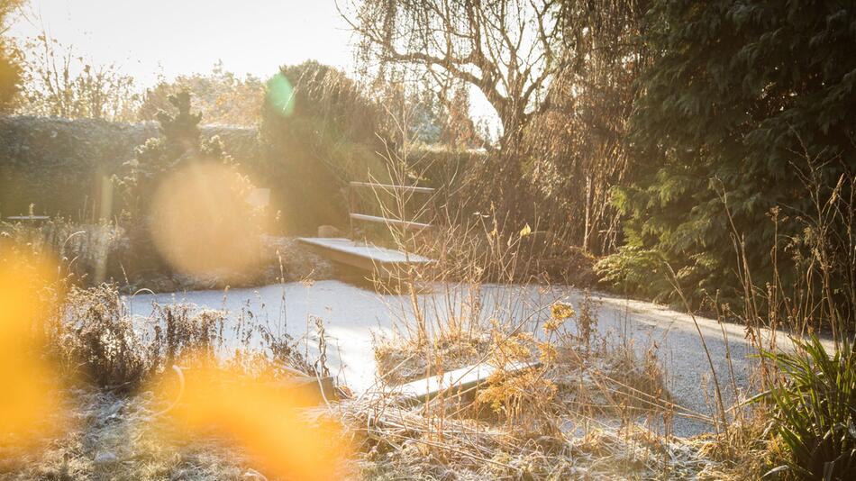 Ein Garten im Winter