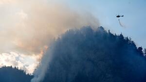 Brand im Bergwald in den Chiemgauer Alpen