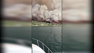 Heftige Waldbrände in der östlichsten Provinz Kanadas