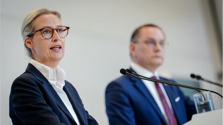 Weidel wehrt sich gegen Vorwürfe der Vetternwirtschaft