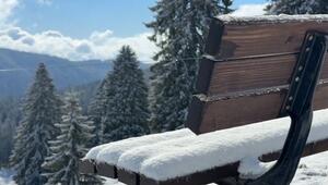 Schnee im Mai: Eisheilige bringen pudern den Schwarzwald