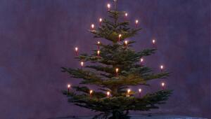 O Tannenbaum, Ursprung, Weihnachtslied